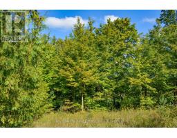 396436 Concession 2, Chatsworth, ON N0H1G0 Photo 3