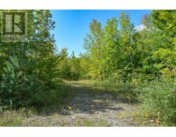 396436 Concession 2, Chatsworth, ON N0H1G0 Photo 2