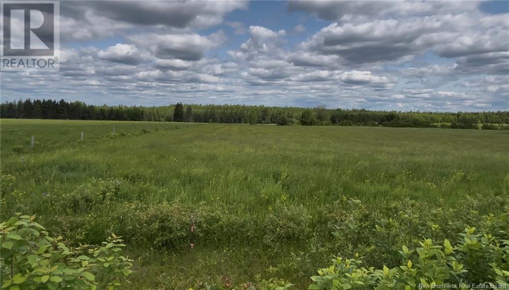 24 5 Harrington Road