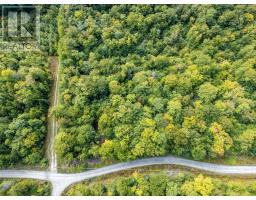 Lot 3 Chemin Theriault Point Road, Belliveaus Cove, NS B0W1M0 Photo 2