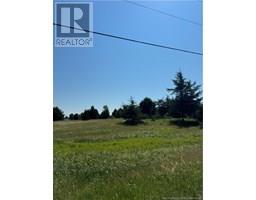 Vacant Lot Gray Road, Saintignace, NB E4X2G1 Photo 3