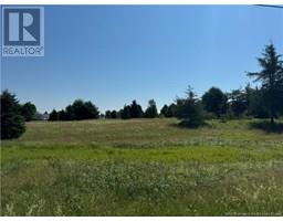 Vacant Lot Gray Road, Saintignace, NB E4X2G1 Photo 4