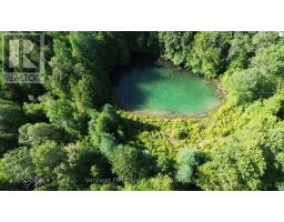 775381 10 Highway N, Chatsworth, ON N0H1C0 Photo 4