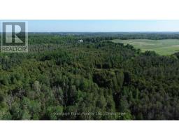 775381 10 Highway N, Chatsworth, ON N0H1C0 Photo 5