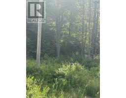 Lot Beechmont Road, Beechmont, NS B2A4K3 Photo 2