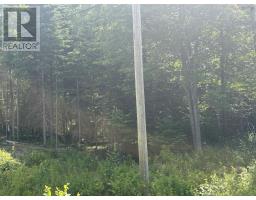 Lot Beechmont Road, Beechmont, NS B2A4K3 Photo 3