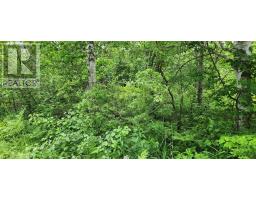 Tbd Hebron Road, Milo, PE C0B1V0 Photo 3