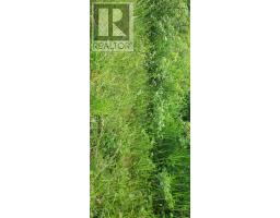 Tbd Hebron Road, Milo, PE C0B1V0 Photo 5