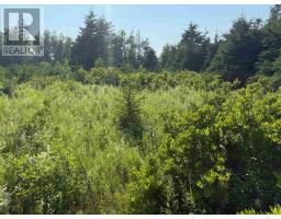 46 Sheri Court, Birch Hill, PE C0B2C0 Photo 3