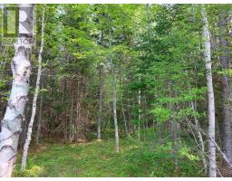 Lot 8 Beaver Lane, Grantville, NS B0E1J0 Photo 4