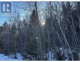 Emerald Drive Emerald Estates, Whycocomagh Portage, NS B0E3M0 Photo 4