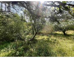 1520 Back Road, Image 2