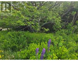 Lot Main Shore Road, North Chegoggin, NS B5A5H3 Photo 4