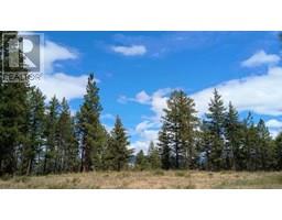 640 Highway 3 Unit 1, Princeton, BC V0X1W0 Photo 4