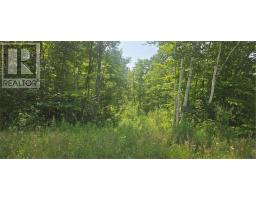 Tbd Forest Hill Road, Monetville, ON P0M2K0 Photo 2