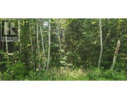 Tbd Forest Hill Road, Monetville, ON P0M2K0 Photo 3