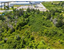 Lot Highway 3, Middle East Pubnico, NS B0W2A0 Photo 4