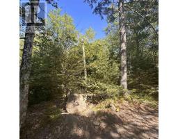 Lot Pid 70241864 Wellington Road, Buckfield, NS B0T1E0 Photo 3