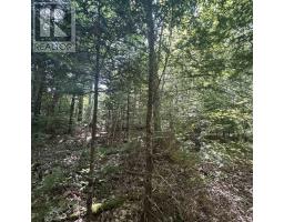 Lot Pid 70241864 Wellington Road, Buckfield, NS B0T1E0 Photo 5