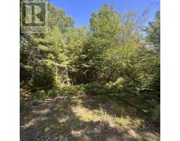 Lot Pid 70241864 Wellington Road, Buckfield, NS B0T1E0 Photo 2