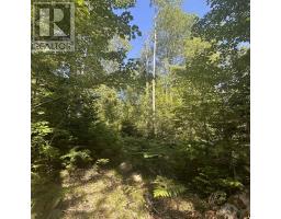 Lot Pid 70241864 Wellington Road, Buckfield, NS B0T1E0 Photo 4