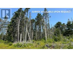 Lot Upper Kingsburg Road, Upper Kingsburg, NS B0J2X0 Photo 4