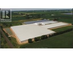 2941 Napperton Dr, Kerwood, ON N7G3H8 Photo 4