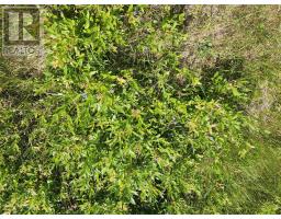 Acreage Selkirk Road, Valley, PE C0A1A0 Photo 5