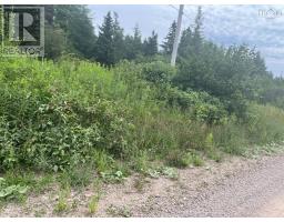 Red Point Road, Mckinnons Harbour, NS B2C1E8 Photo 2