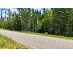00 740 Route, Basswood Ridge, NB E3L5A8 Photo 3