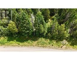 00 740 Route, Basswood Ridge, NB E3L5A8 Photo 5