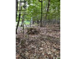 Lot 27 Maplesue Point Drive, Molega, NS B0T1X0 Photo 4