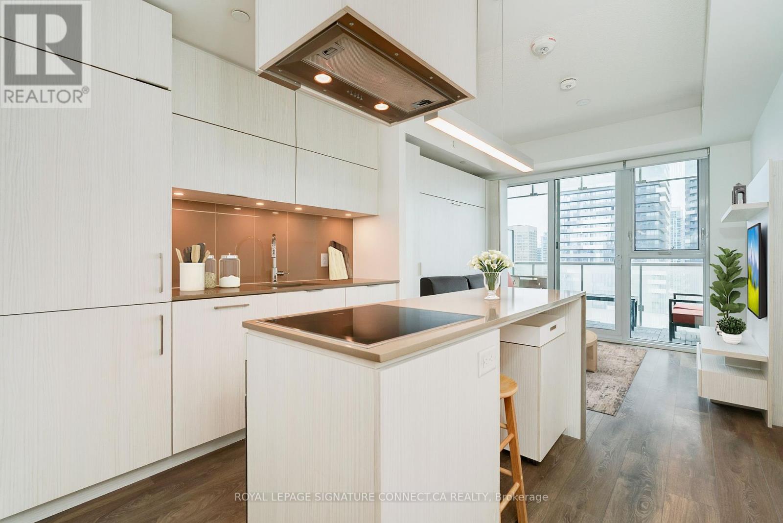 1509 15 Lower Jarvis Street