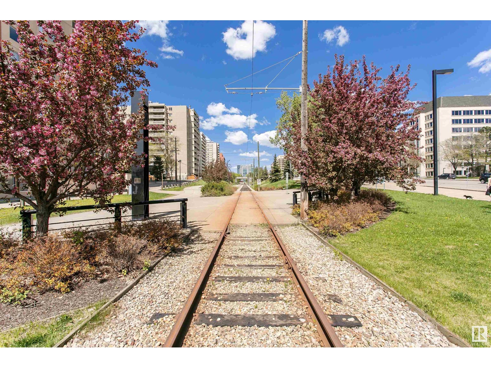 202 9741 110 St Nw