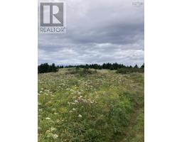 Lot Off Highway 247, Image 2