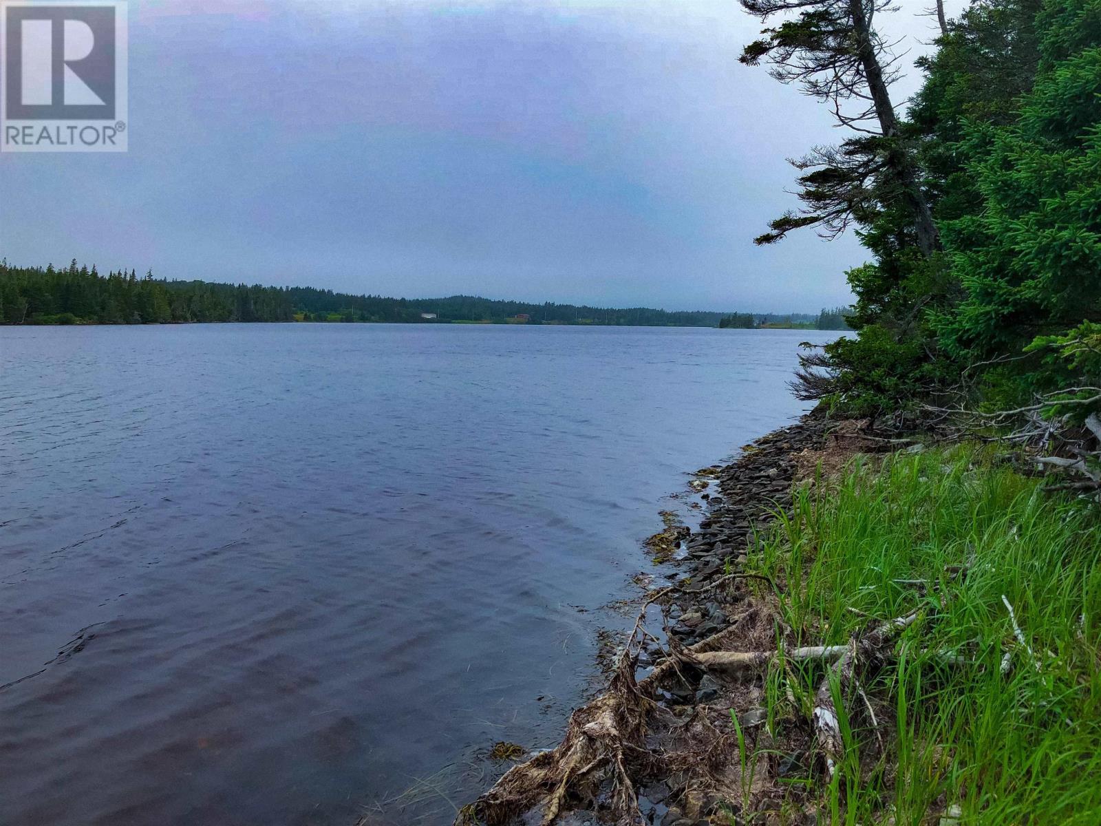 Lot 290 East Side Grand River Road