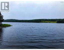 Lot 290 East Side Grand River Road, Grand River, NS B0E1M0 Photo 3