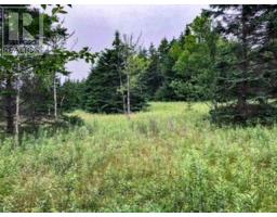 Lot 290 East Side Grand River Road, Grand River, NS B0E1M0 Photo 4
