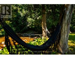 794008 3rd Line, Mono, ON L9W5Y7 Photo 5