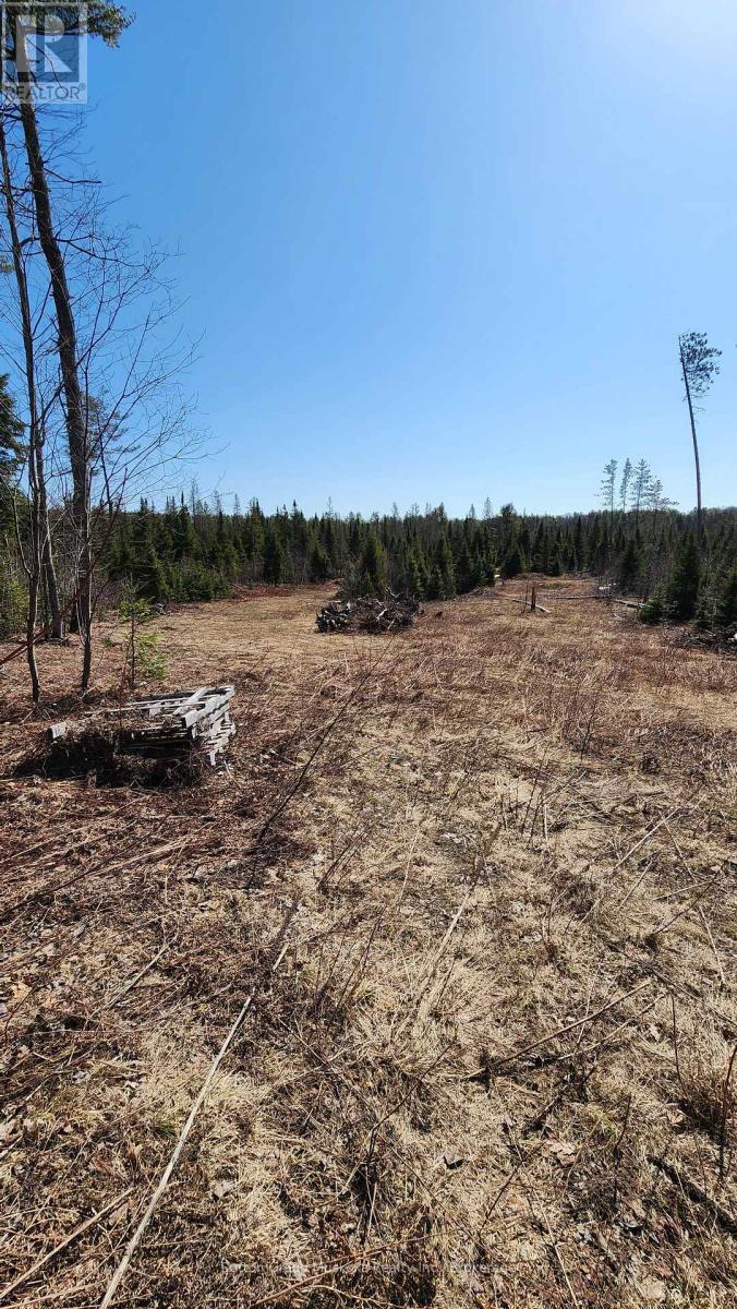 00 Red Pine Trail