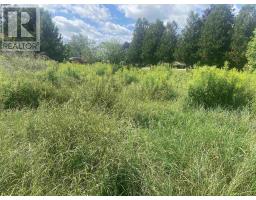 Lot 24 Old Court House Branch Road, Murray Siding, NS B6L3X4 Photo 4