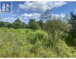 Lot 24 Old Court House Branch Road, Murray Siding, NS B6L3X4 Photo 2