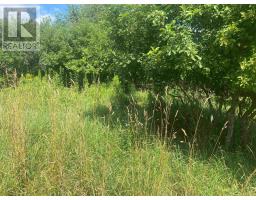 Lot 24 Old Court House Branch Road, Murray Siding, NS B6L3X4 Photo 5