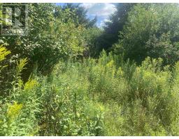 Lot 24 Old Court House Branch Road, Murray Siding, NS B6L3X4 Photo 3