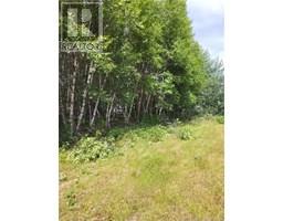 Lot D Richard Route 535, Saintthomasdekent, NB E1H1V8 Photo 2