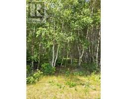 Lot D Richard Route 535, Saintthomasdekent, NB E1H1V8 Photo 3
