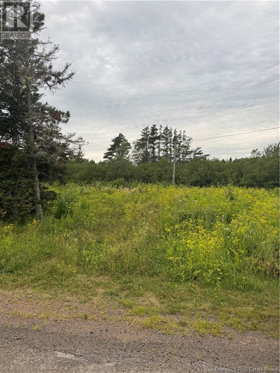 0 Collins Lake Road