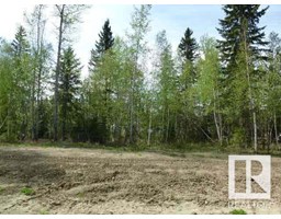 11 Fraser Dr, Breton, AB T0C0P0 Photo 4