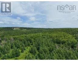 Parcel B Macleod Settlement Road, Upper Southwest Mabou, NS B0E2W0 Photo 5