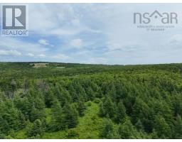 Parcel B Macleod Settlement Road, Upper Southwest Mabou, NS B0E2W0 Photo 3